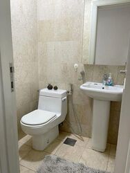 Valley Park (D10), Condominium #515141251